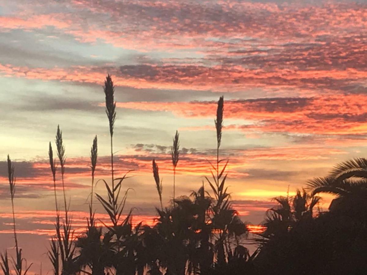 Paraiso Frente Al Mar Apto Duplex Coma-ruga Eksteriør billede